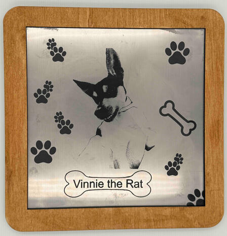 Stainless steel Dog pic of "Vinnie the Rat" the Rat Terrier