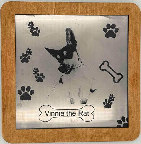 Personalized pet picture